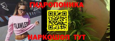 бошки Бердск